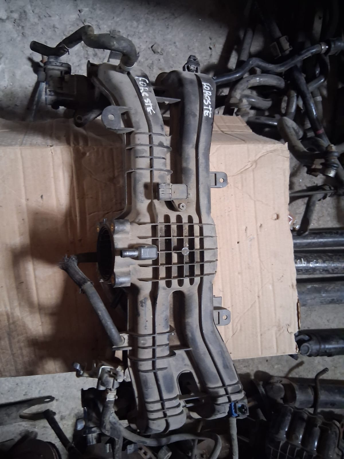 Múltiple de admisión Subaru Forester