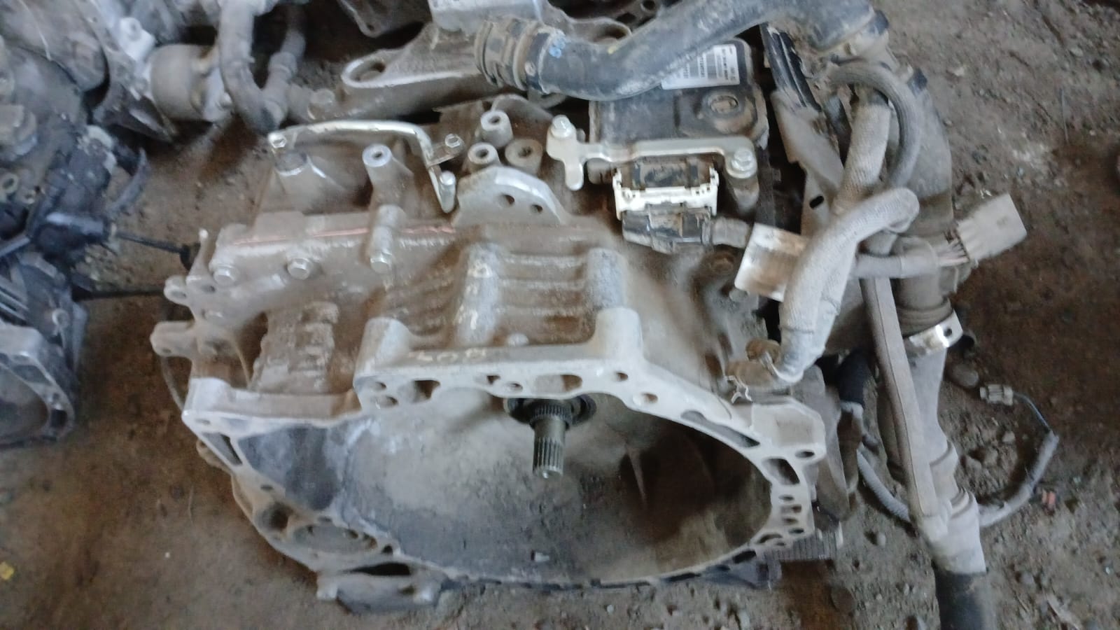 Caja de Cambio Peugeot 308