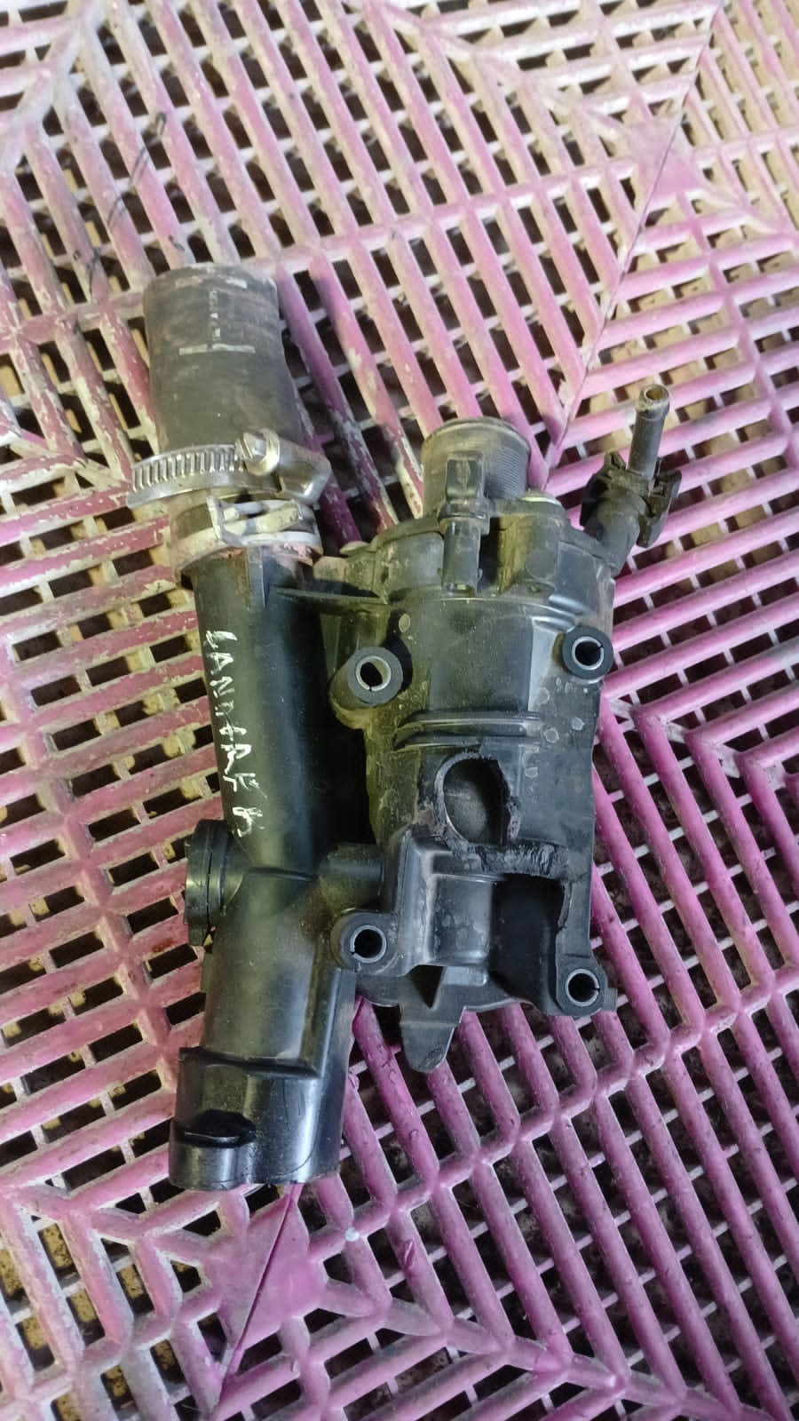 Termostato Peugeot Landtrek