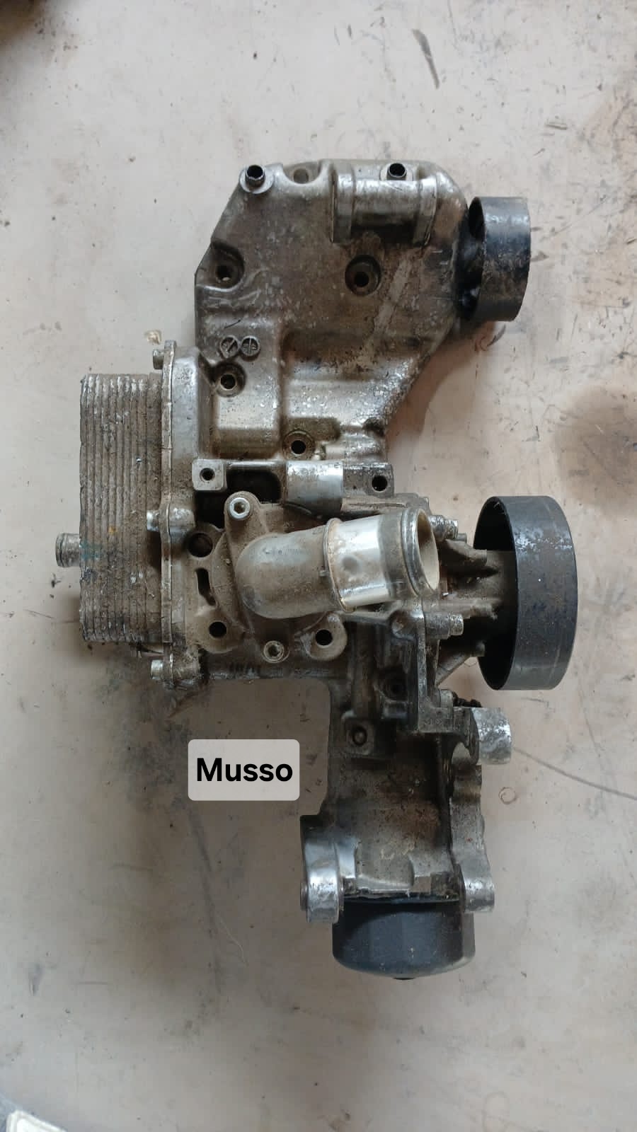 Enfriador de Aceite Ssangyong Musso